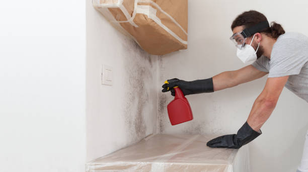 Professional Bathroom Mold Removal technician working in Highland Park, IL