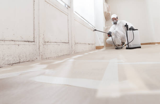 24/7 Emergency Bathroom Mold Removal experts in Highland Park, IL